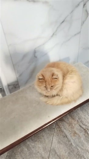 Respect Who do we have here!?🤗😂 # Stensoulman