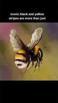 Why Bees are Black and Yellow
