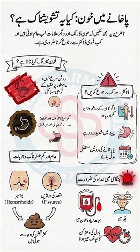Blood in Stool | Causes, Symptoms & When to Worry