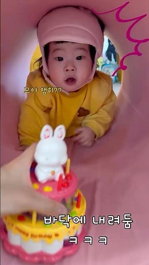 육종지에서 아기 미끄럼틀 타는중
