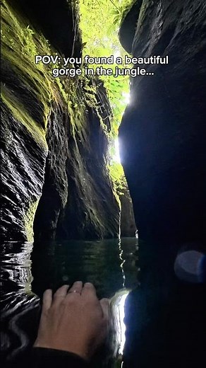 This place was stunning! 🌿 Who are you swimming here with? #jungle #swim #gorge #carribean #travel
