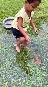 Amazing hand Fishing | Fishing Tv