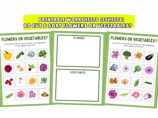 Printable Flowers or Vegetables Sorting Worksheets | 80 Cut and Sort Cards Science Activity for Preschool Kindergarten Kids - Etsy
