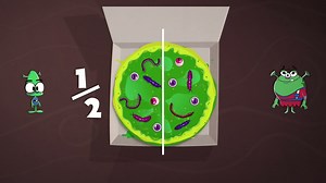 What is a fraction? - BBC Bitesize