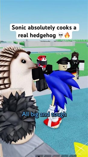 SONIC ABSOLUTELY COOKS a FAKE HEDGEHOG 💀🔥 #roblox #micup #sonic