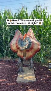 3.2K views · 58 reactions | The corn maze gets scary after dark  #Halloween #CornMaze | Elijah Bergwitz | Facebook