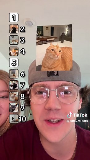 I can’t believe he put THAT CAT first 😳 #fyp #viral #cat #catsoftiktok #ranking