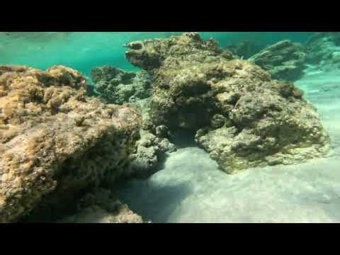 Gx010040 Alta205037041904845920