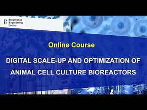 Online course Digital scale-up and optimization of animal cell culture bioreactors