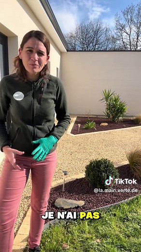 Idée déco extérieur : massif & allée de jardin