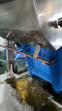Automatic self cleaning food conveyor--Focus Machinery