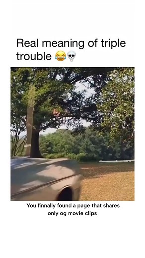 I'm james bond 🥶 on Instagram: "The Three Stooges (2012) is a slapstick comedy that revives the timeless humor of the classic trio—Moe, Larry, and Curly—for a modern audience. The film stays true to the original spirit of the Stooges, relying on physical comedy, exaggerated expressions, and chaotic misunderstandings rather than clever dialogue. The story begins with the trio growing up in an orphanage, where their clumsy behavior repeatedly gets them into trouble. Years later, when the orphanag