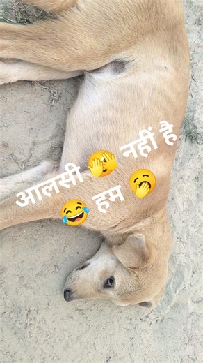 most 😜 funny 😂 viral short 😂 tranding 😜🫣🤣🥱🥱🥱‪@trackmotivation57‬ #आलसी नहीं है