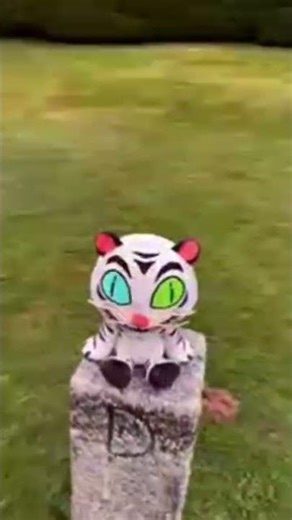 #cat #cutecat #cute #meme #fnaf #fnafedit