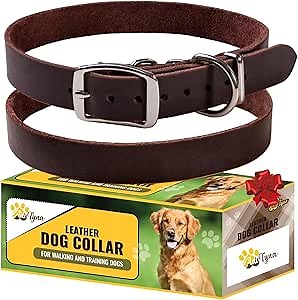 Adityna - Leather Dog Collar for Large Dogs - Classic Style, Soft and Strong, Heavy-Duty Top-Grain Leather Collar for Walking, Training, Hunting, and Running (L - Neck: 19-24 inches, Brown)