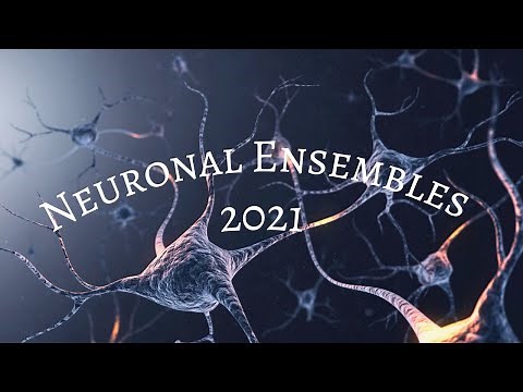 Neuronal Ensembles 2021 Webinar