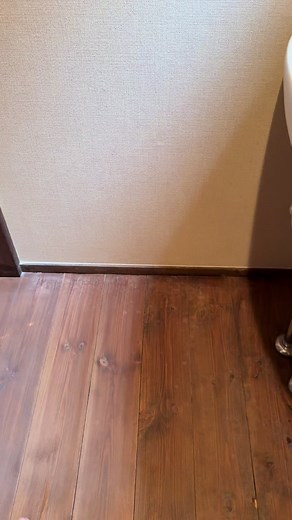 オリジナル楽曲 - THE FART SHOWを使っているTHE FART SHOW (@the.fart.show)の動画