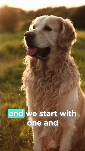 Those Blasted Mast Cell Tumors!: Grading, Staging, and Real-World Decisions | VetFolio Voice