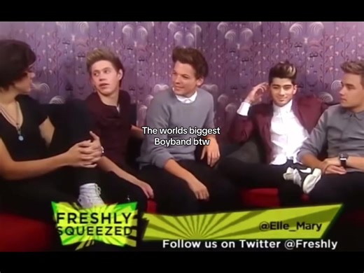 The Funniest One Direction Clip That Will Make You Laugh