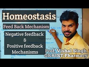 Homeostasis, Negative Feedback and Positive Feedback Mechanism