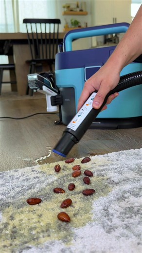 The Shark Everymess can handle ANY mess👏🏼 #sharkeverymess #vacuum #wetdryvacuumcleaner #stainremover #cleaning