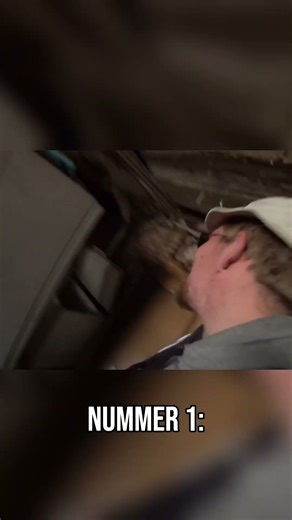 Alte Truhen: Warum Du sie niemals öffnen solltest! #shorts