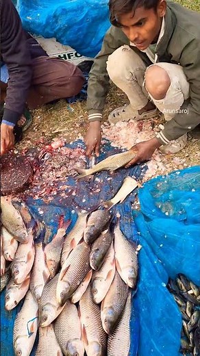 NAIN FISH CUTTING/Arunsaroj #fishing #shorts #trending #food #streetfood #funny #seafood #fish