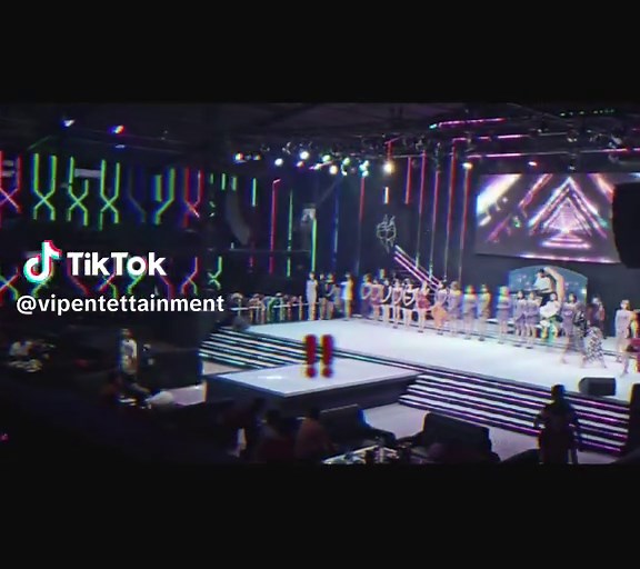 VIP Entertainment: Your Complete Guide to Luxury Events