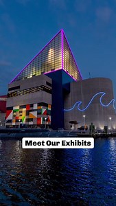 Snag a preview of your visit and meet half of our award-winning exhibits. Look out for Part 2 to get the full tour. 🌊🐠 | National Aquarium