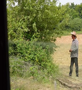 🍓🍊 Homemade Strawberry Orange Jam Recipe🍓🍊 | Chasity Hansen