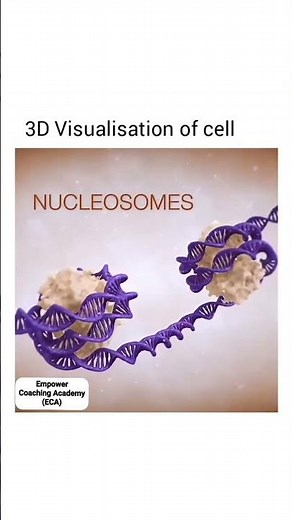 3D cell structure with clear animations, #biology #cell #animation #animationvideo #education