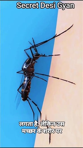 Shocking Bot Fly Fact You Didn’t Know/मच्छर से फैलने वाला खतरनाक कीड़ा#ytshorts#facts#shorts