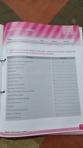 There is an error in the usage of some word / words in each sen... | Filo