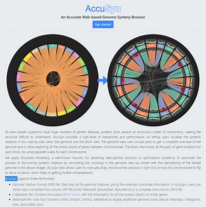 染色体間で類似した遺伝子ブロックを可視化する AccuSyn