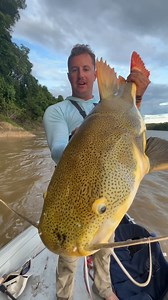 Catching Redtail Catfish in Amazon! #catching #catfish #amazon #bigfish #fishing | Ryan Iz Fishing