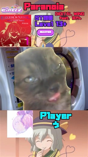 maimai Paranoia MASTER ST譜面 #maimai #音ゲー #musicgame #東方