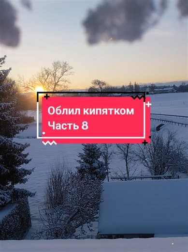 Реальная история из жизни: Часть 8