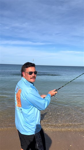 Herring Chase Whitebait on New Year’s Day