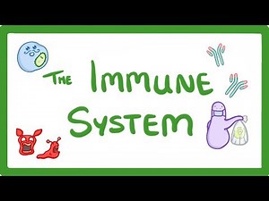 GCSE Biology (9-1) - Immune System & Defences Against Pathogens - Worksheet & Video | Teaching Resources