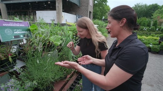 This Old House S46:E07 - Nashville Brick Cottage: Shelter From the Storm
