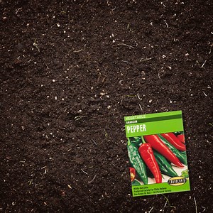 Don't miss your chance to start growing your spring seeds inside 🌱 Learn the how-tos of indoor seed starting on the blog. | Orchard Supply Hardware