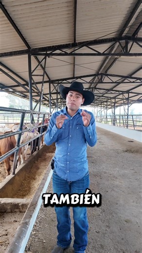 Chapingo | Héctor Martínez