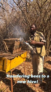 Bee Keeping Training highlights #farming #beekeeping #apiculture | AgriPal pbc