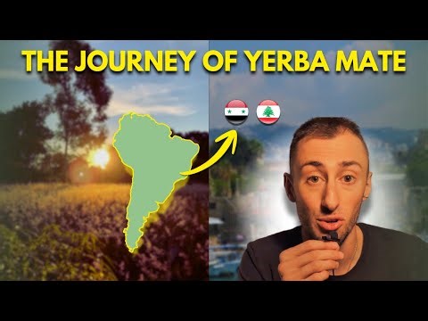 ⭐ The Drink That Unites Millions: From South America to the Middle East