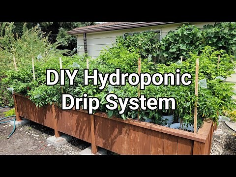 DIY Hydroponic Drip System