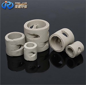 [Hot Item] Chemical Random Packing Ceramic Pall Ring
