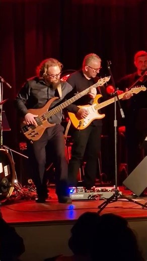 Basista w akcji #theharmonicPath #music #bass #viral #violin #solo