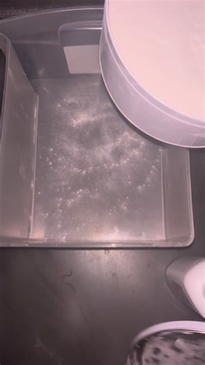 Powder Play Tips for Beginners