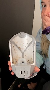 180K views · 229 reactions | Got bugs? NOT ANYMORE! BuzzFeed producer...