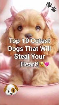 Top 10 Cutest Dogs That Will Melt Your Heart